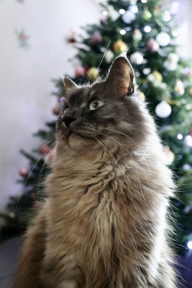 Photograph by Инна Шикуева