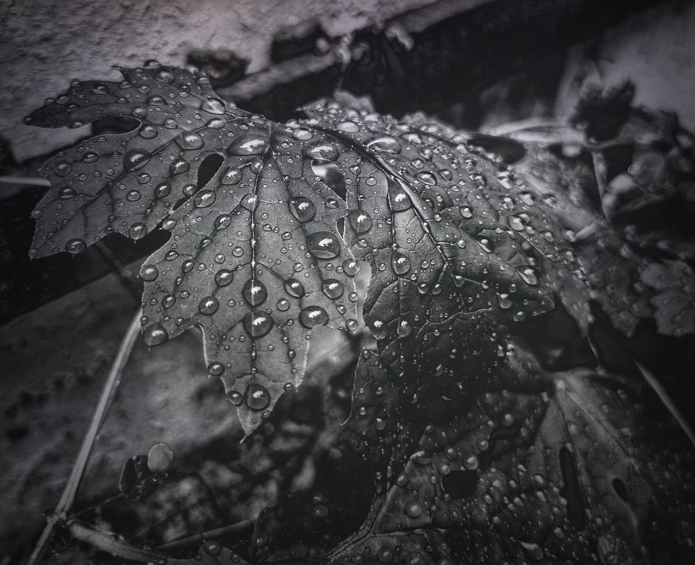 Photograph by Vishal Bansode