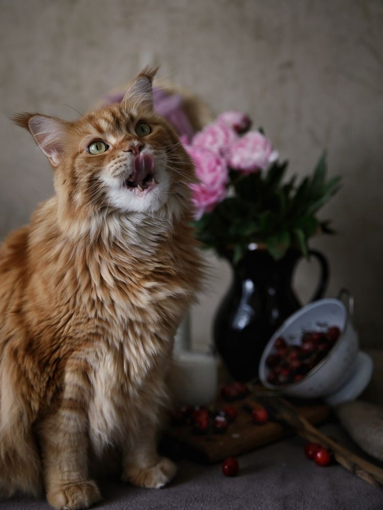 Photograph by Angelica Medvedeva