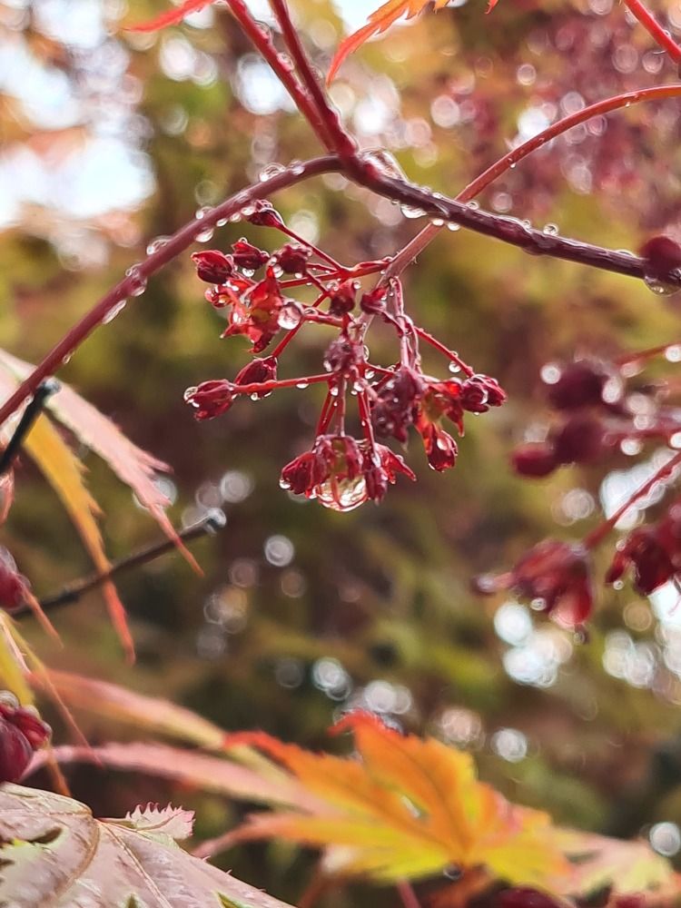 Photograph by Наталья Каплина