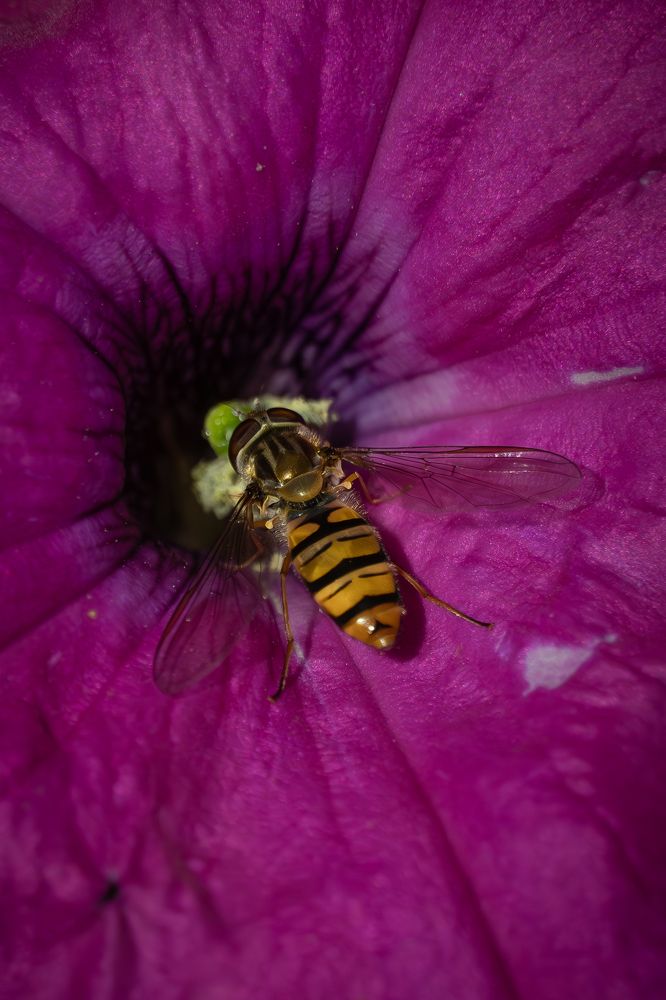 Photograph by Высотских Владимир