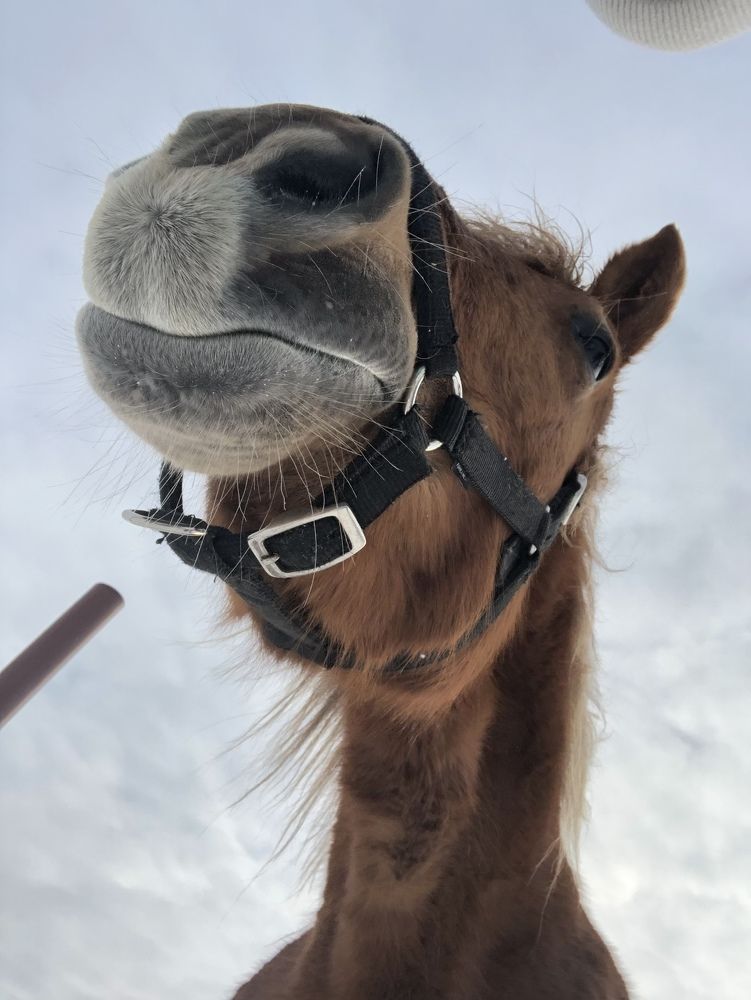 Photograph by Svetlana Tolkunova