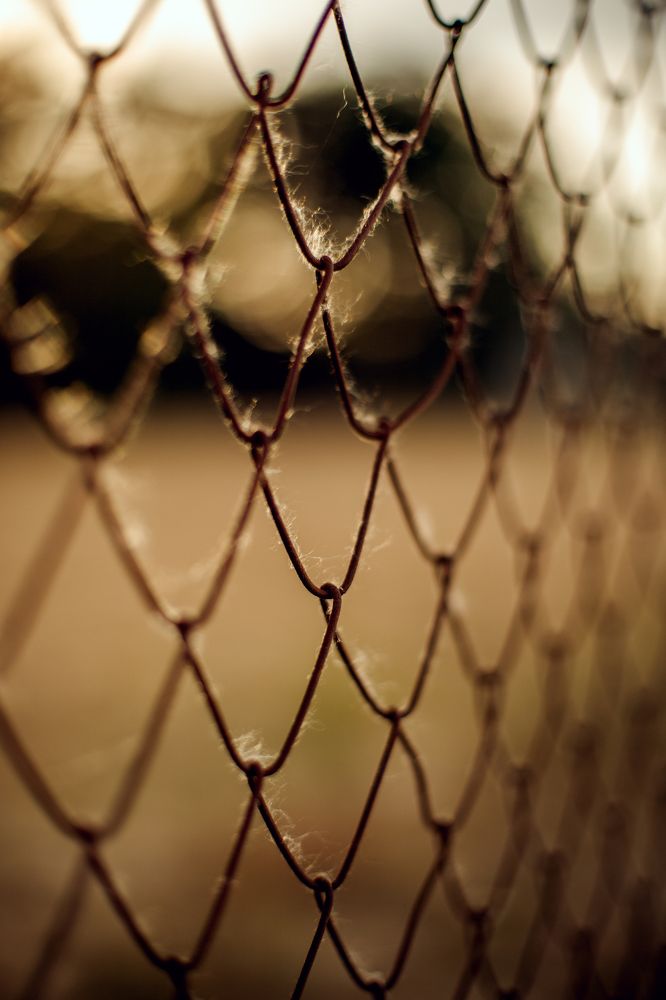 Photograph by Анна Шевляк