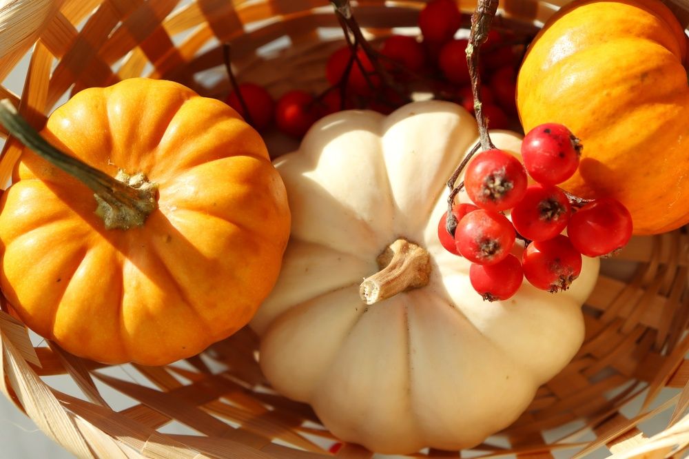 Photograph by Светлана Беспалко