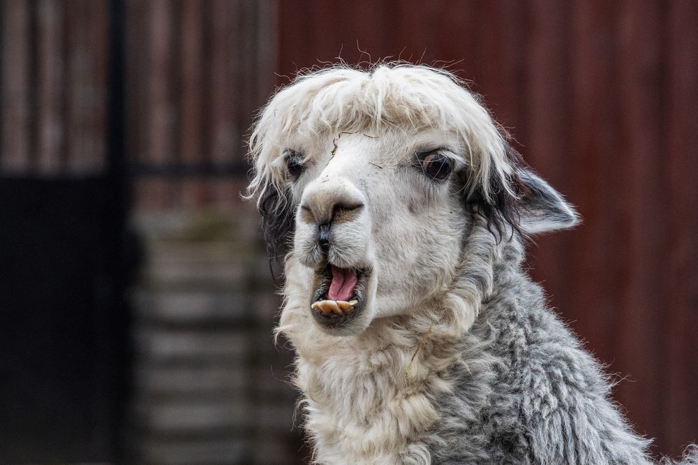 Ух ты! Что это?