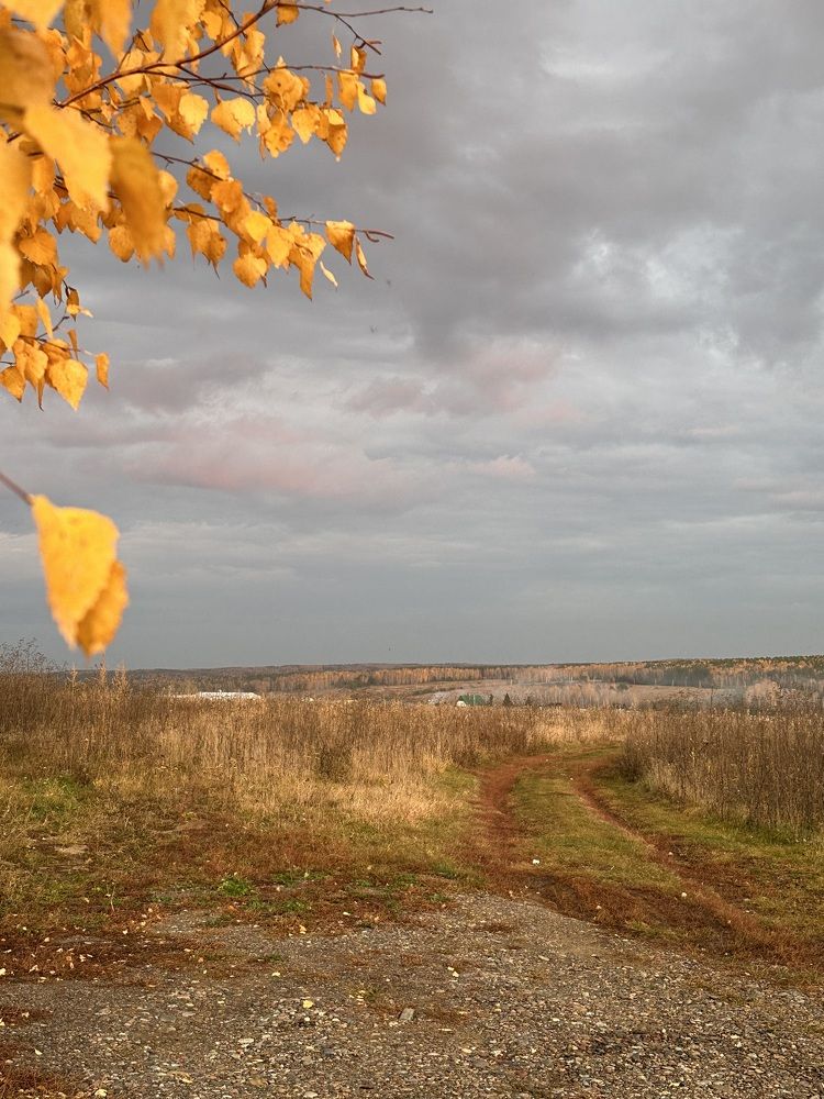 Photograph by Svetlana Tolkunova