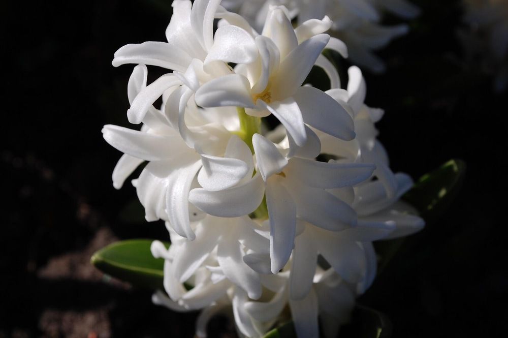 Photograph by Михаил Никитин