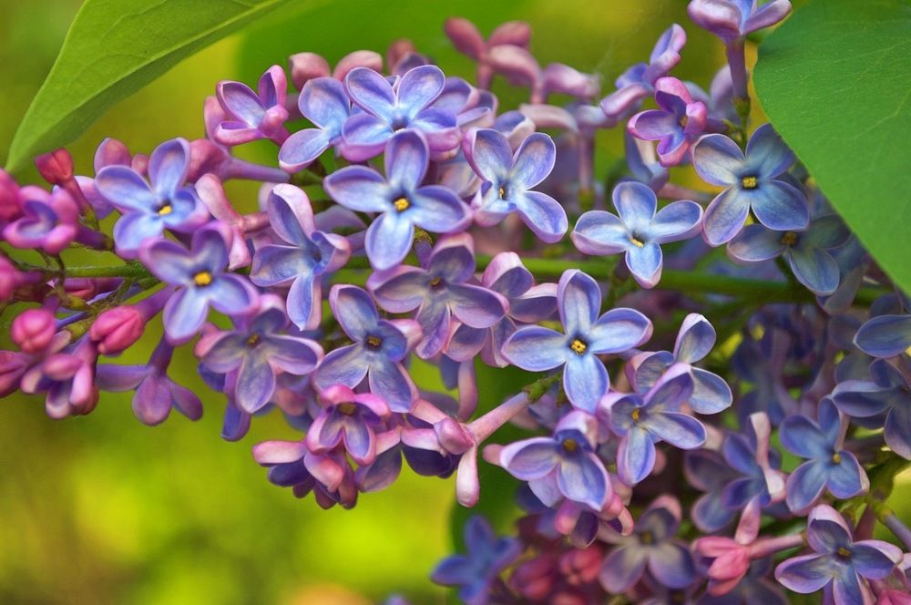 Photograph by Михаил Никитин