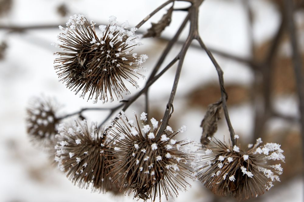 Photograph by Андрей Востриков