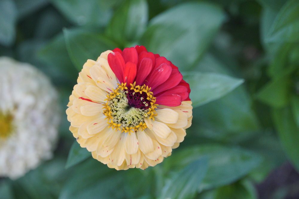 Photograph by Высотских Владимир