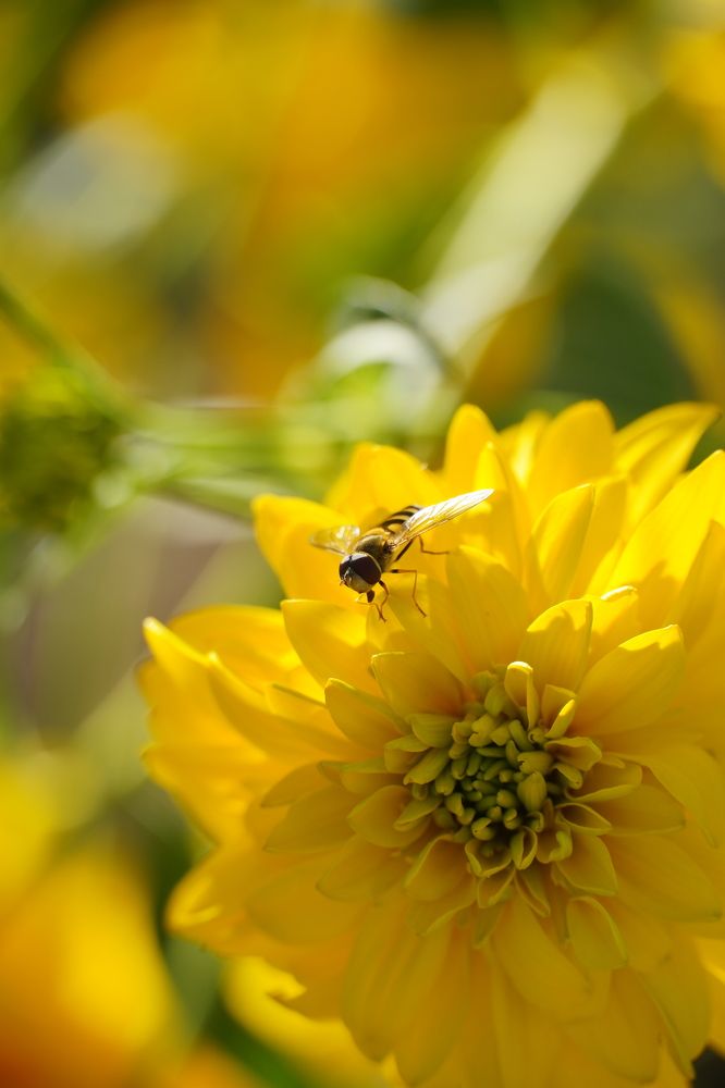 Photograph by Высотских Владимир