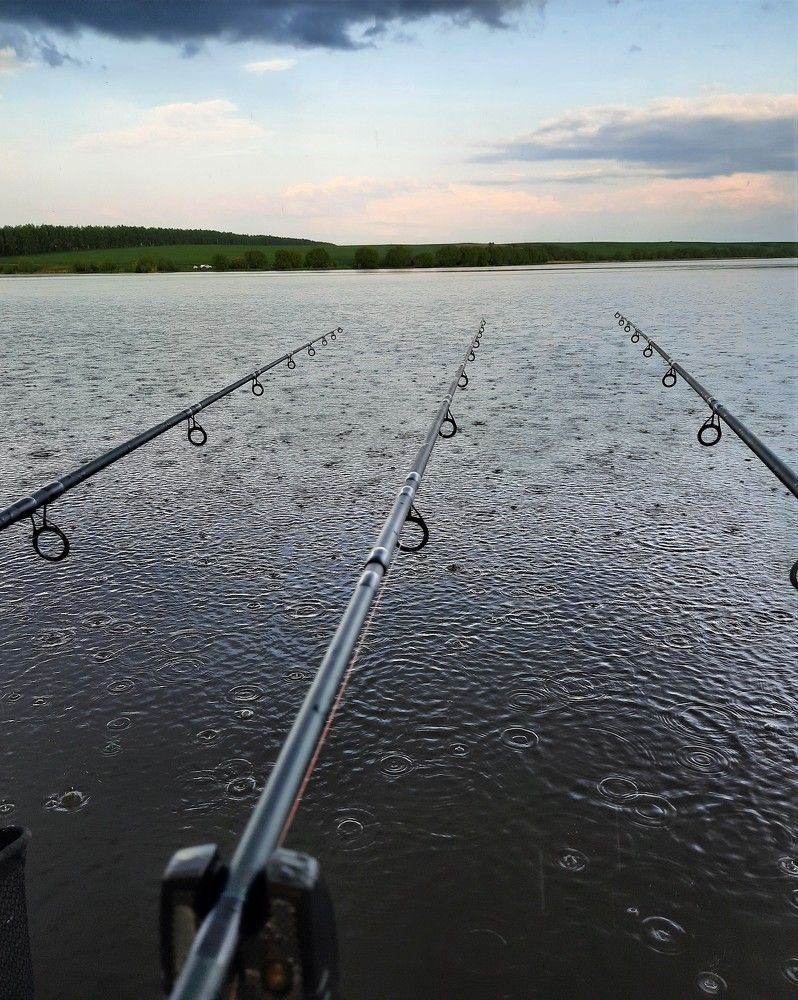 Фотография автора Елена Пикатова