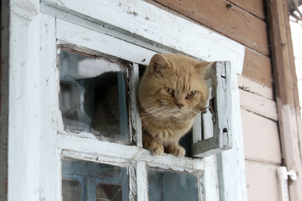 Photograph by Евгения Емельянова