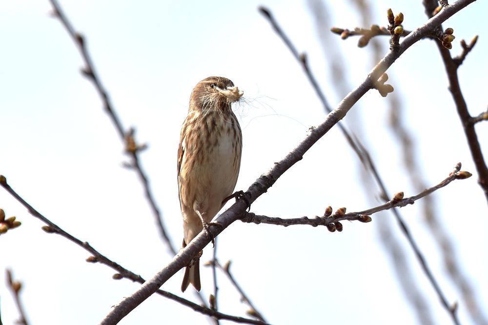 Photograph by Андрей Востриков