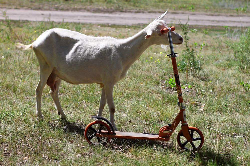 Photograph by Полина Ефимова