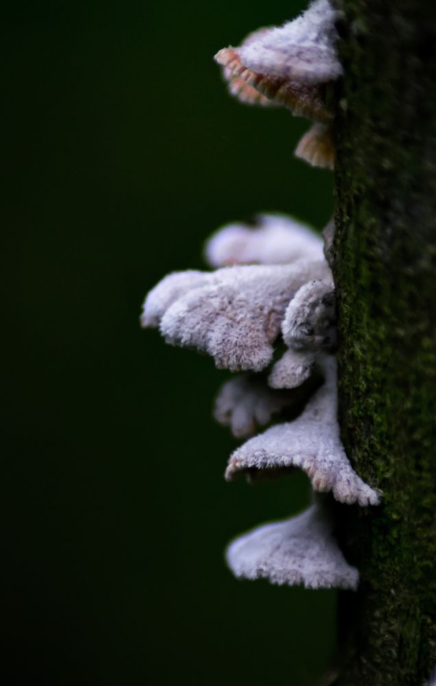 Photograph by Arindam Sahoo