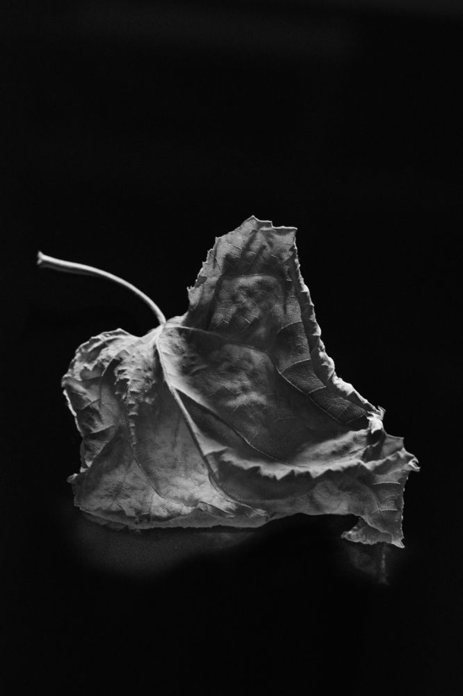 Photograph by Мария Конюхова