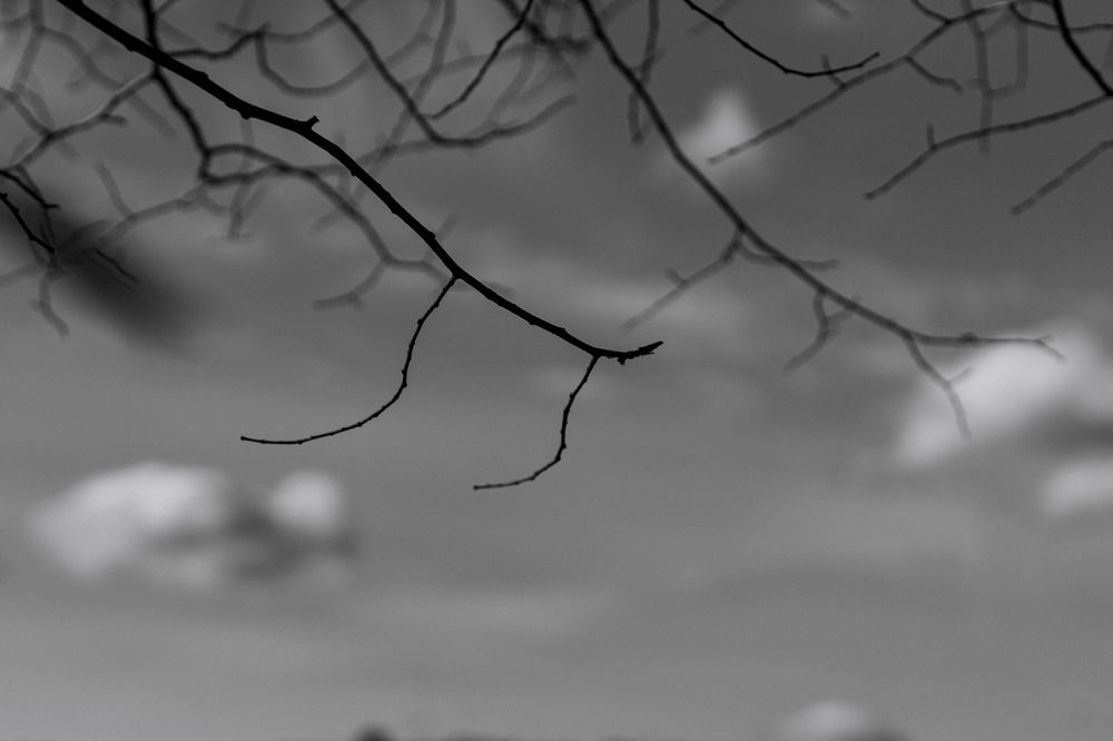 Photograph by Андриян чаркин