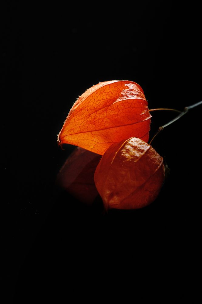 Photograph by Мария Конюхова
