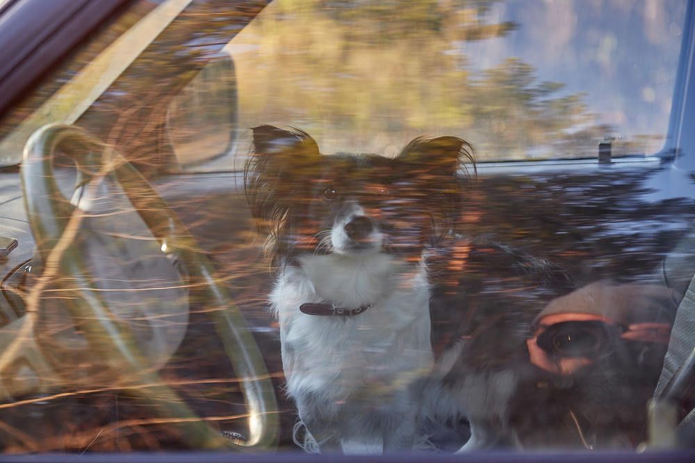 Photograph by Дмитрий Соколов