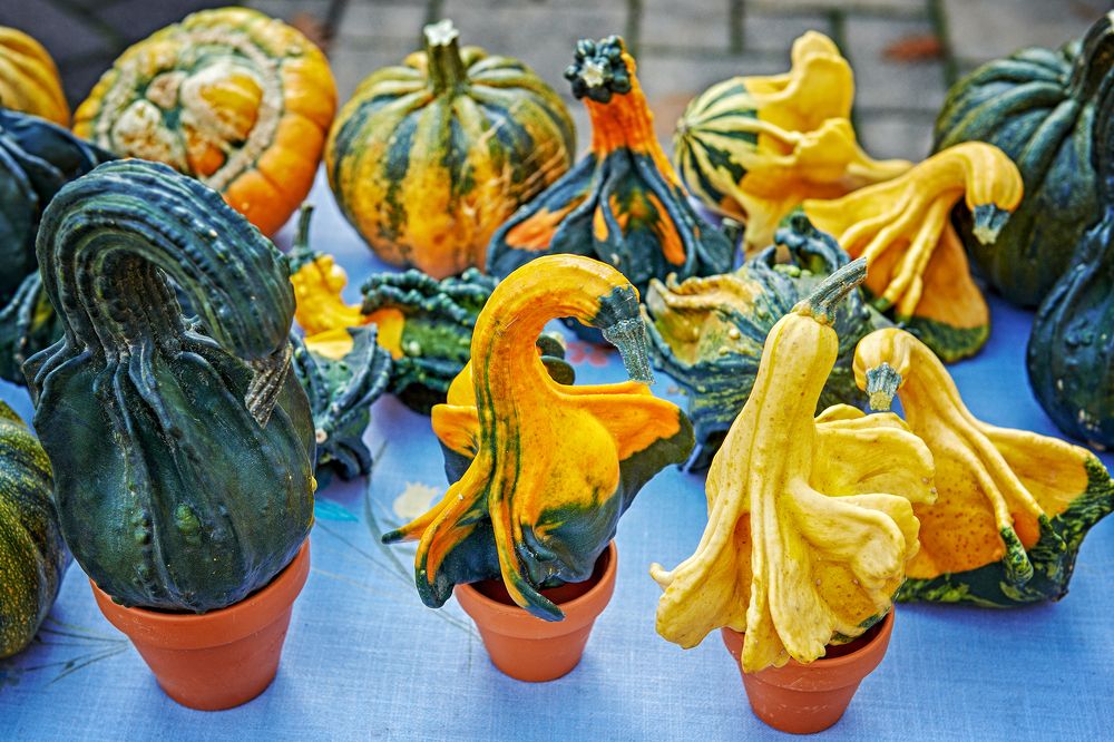 Photograph by Валерий