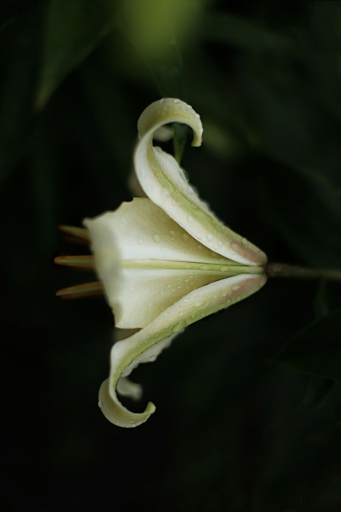 Photograph by Денис Есаков