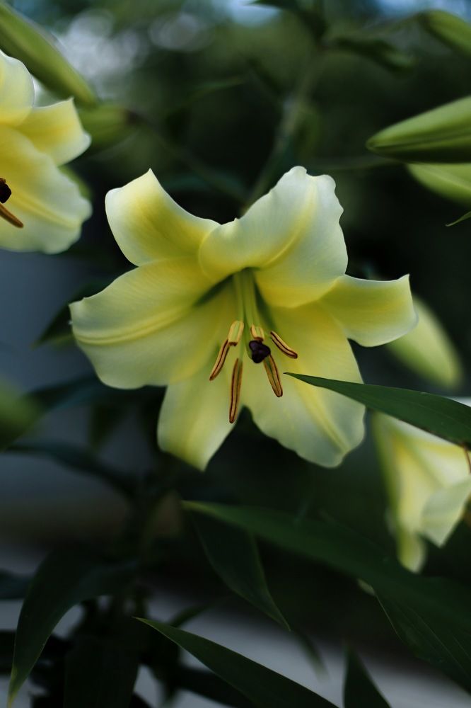 Photograph by Денис Есаков