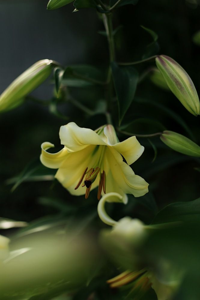 Photograph by Денис Есаков