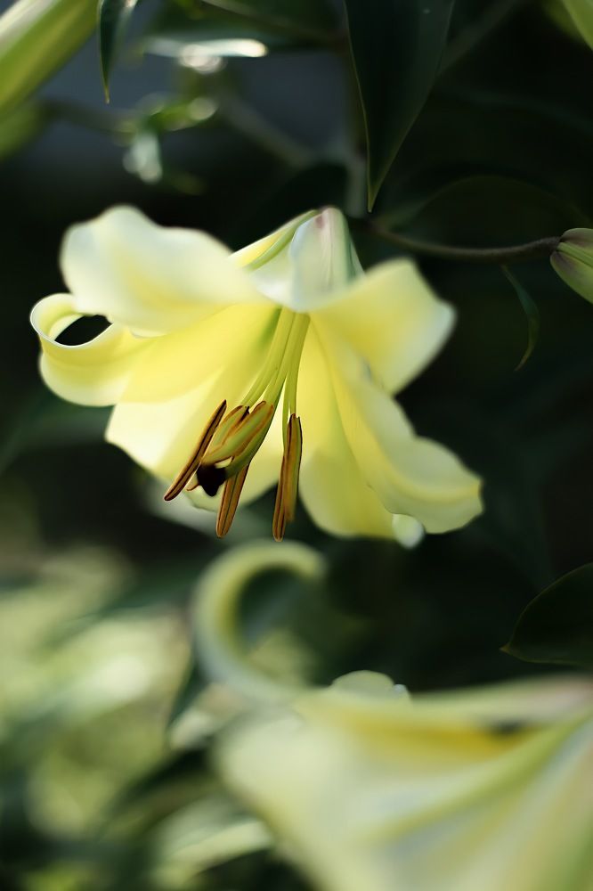 Photograph by Денис Есаков