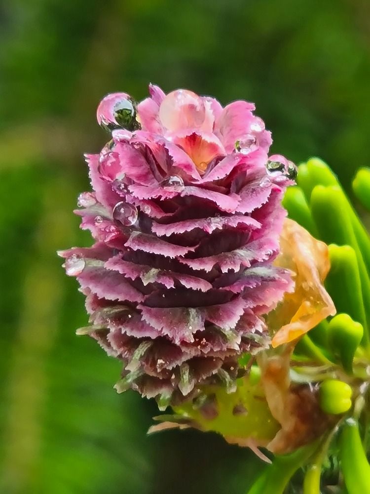 Photograph by Наталья Каплина