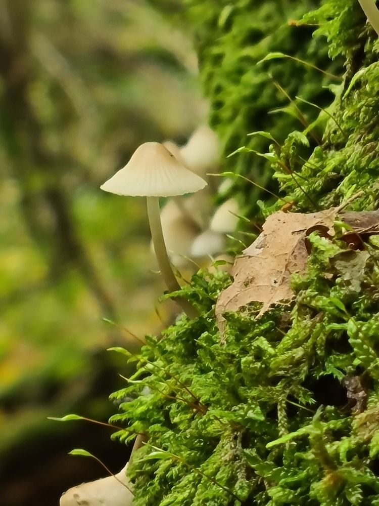 Photograph by Наталья Каплина