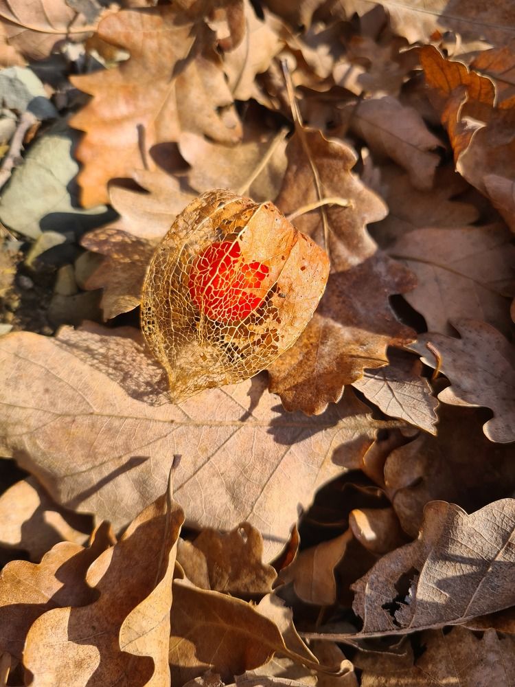 Photograph by Наталья Каплина