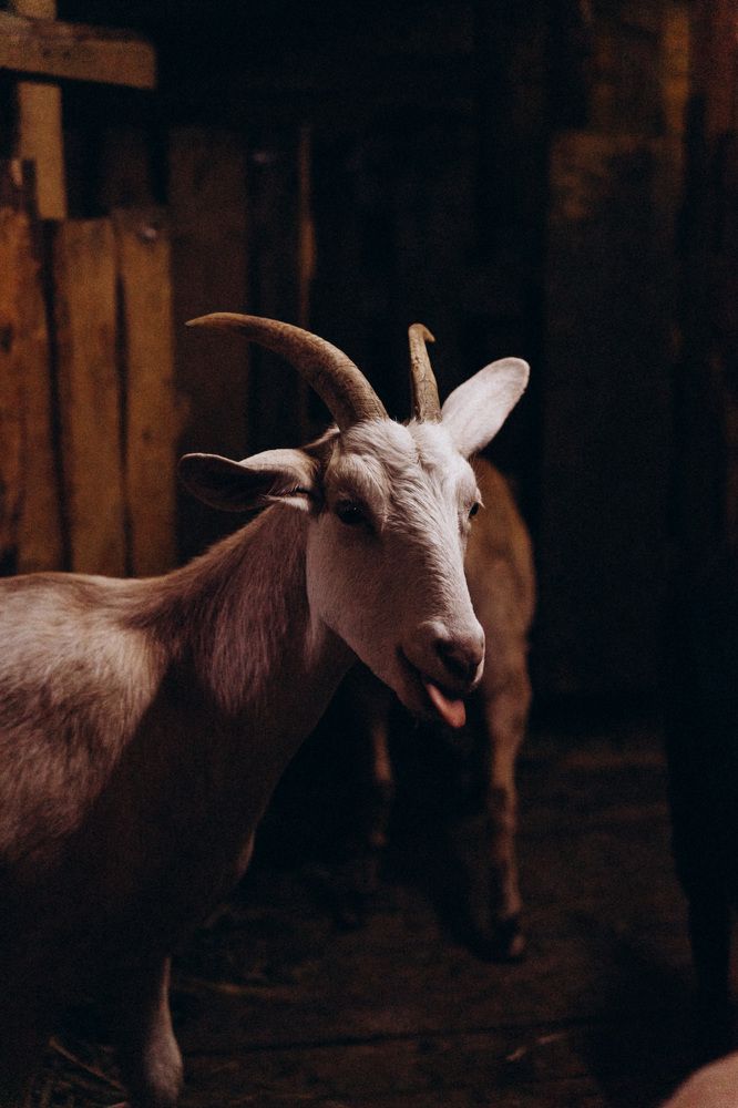 Photograph by Елена Подшевалова