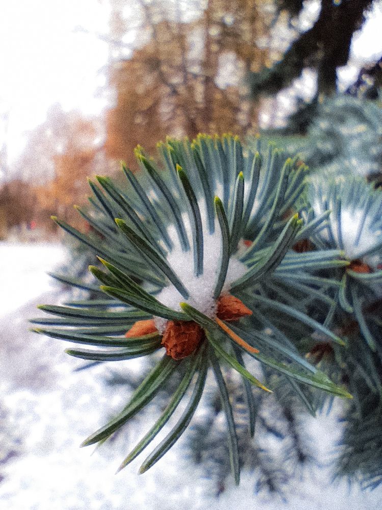 Photograph by Алиса Малая