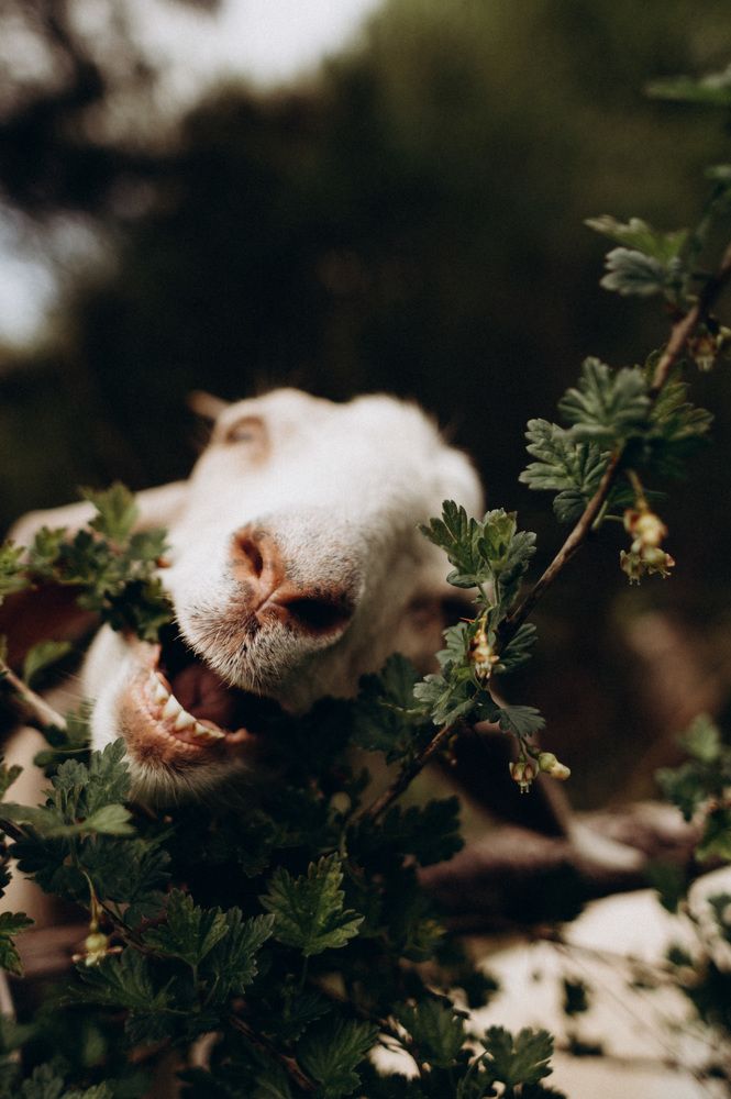 Photograph by Елена Подшевалова