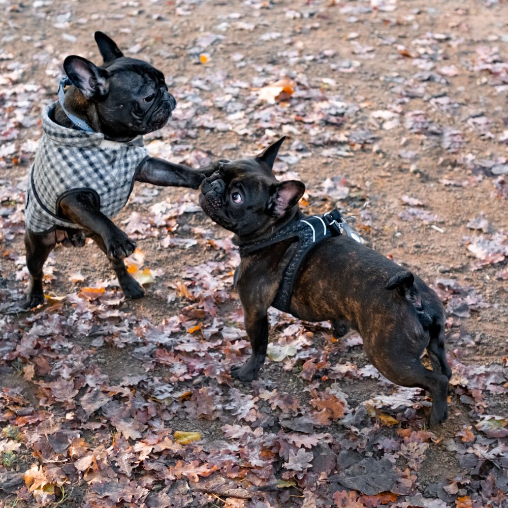 Photograph by Михаил Мамаев