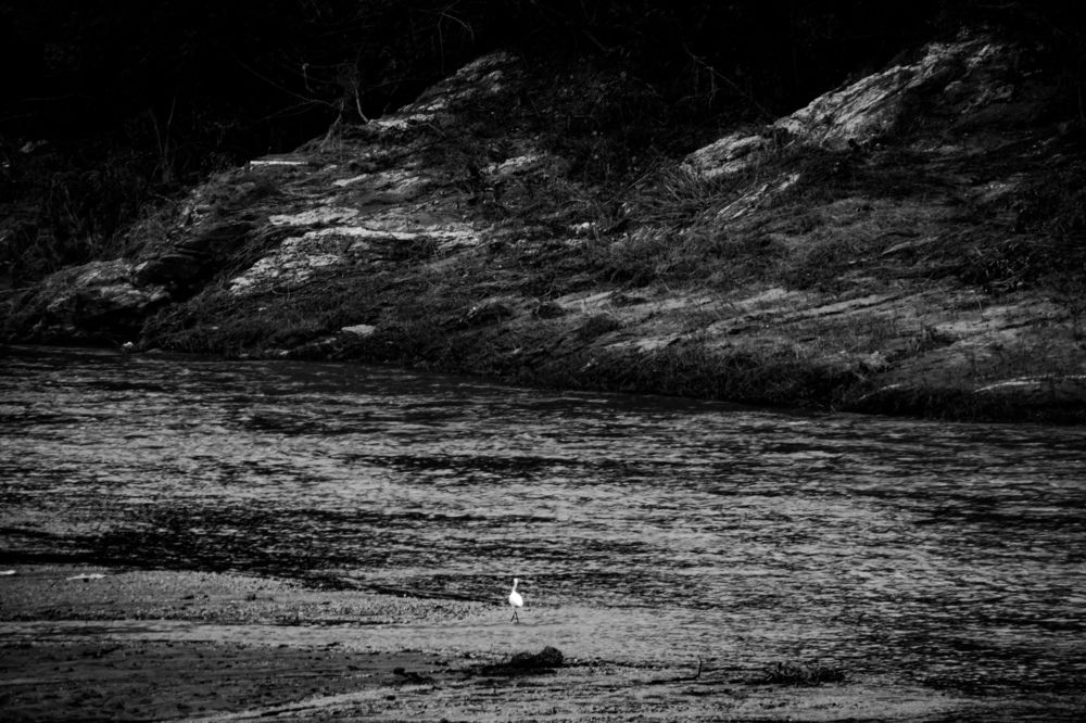 Фотография автора Anurag Banerjee