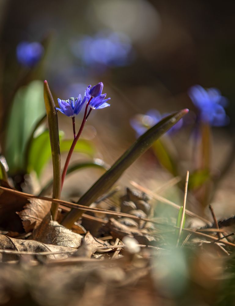 Фотография автора Дмитрий Юдин