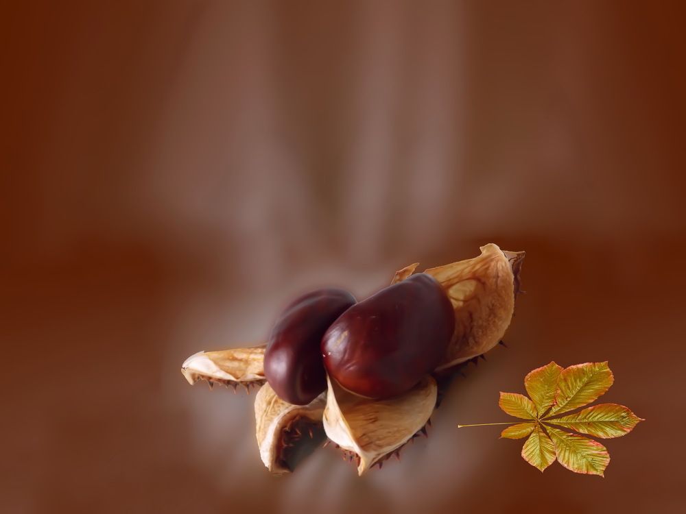 Падают каштаны