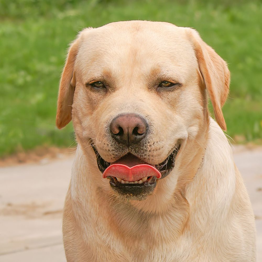 Photograph by Юрий Спасенников