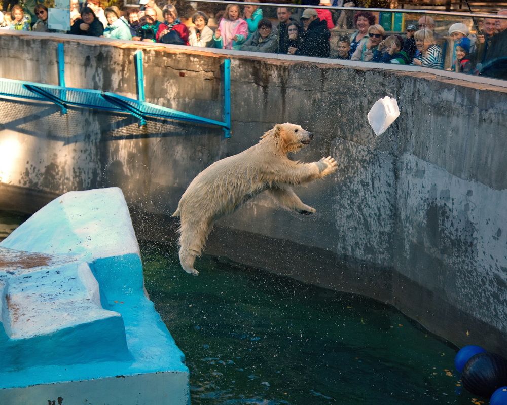 Photograph by Алексей Хазов