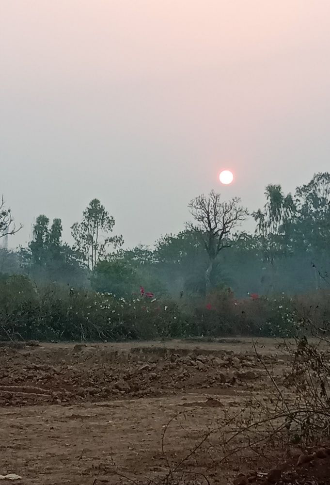 Nature of beuti