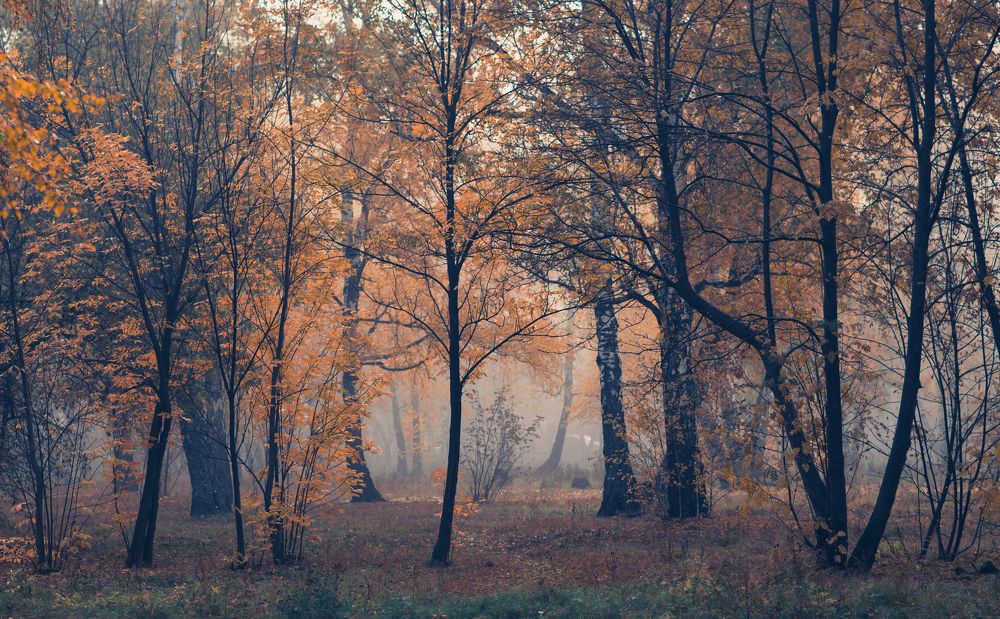 Photograph by Матвей Краузе