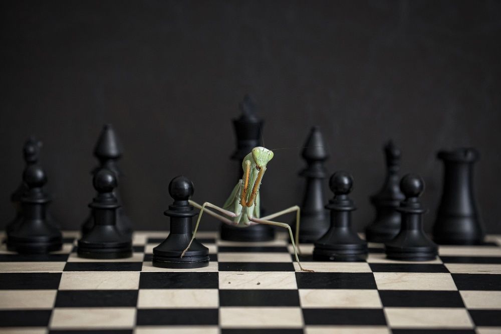 Photograph by Maxim Petrovsky