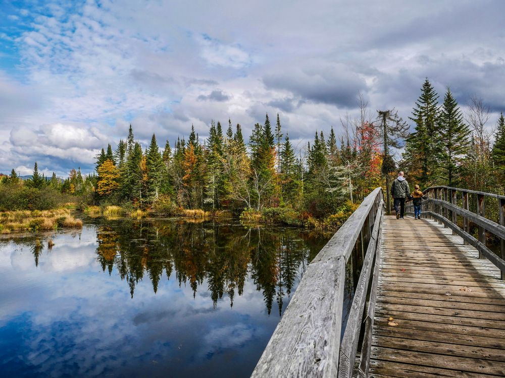 Photograph by Annie Trudel