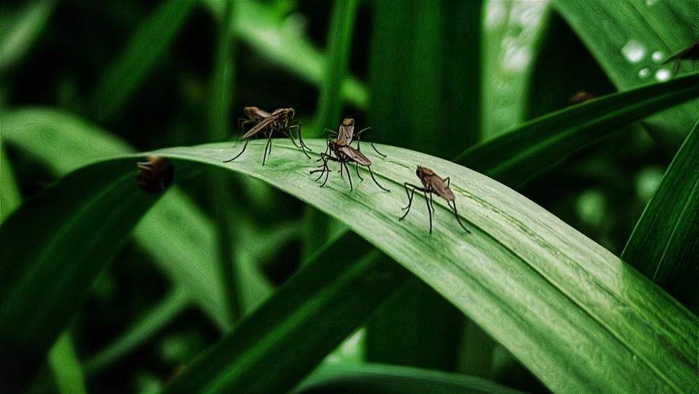 Photograph by Татьяна Ковалева