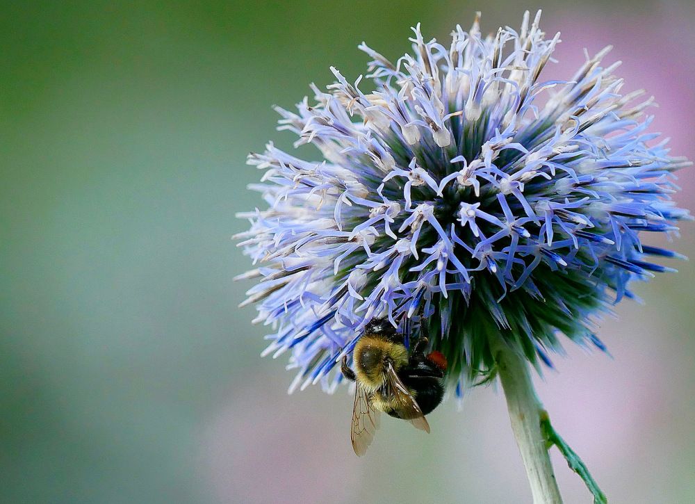 Photograph by Annie Trudel