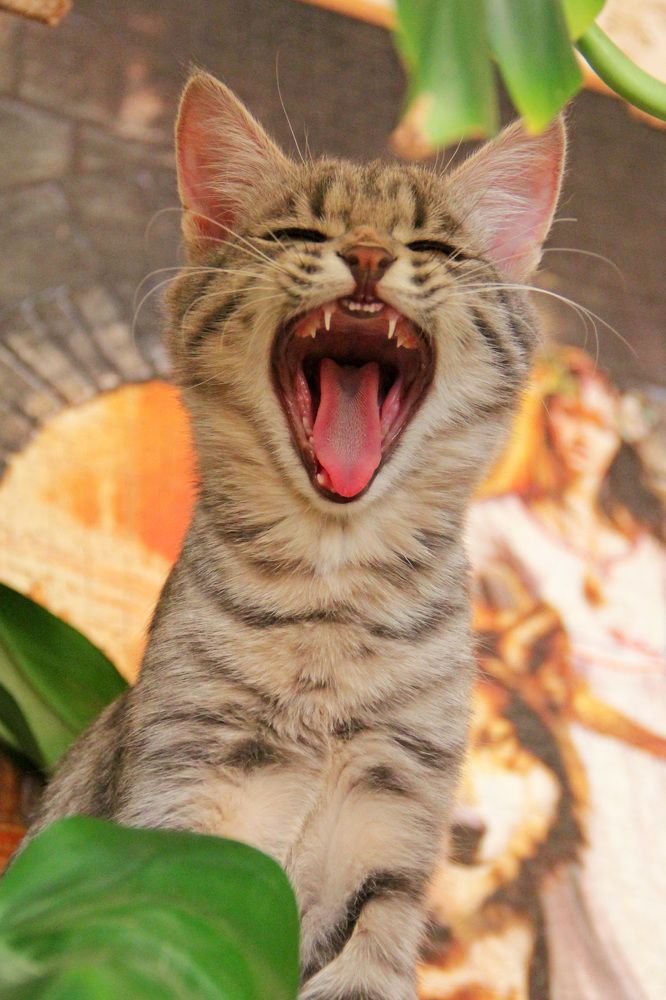 Photograph by Анастасия Северюхина