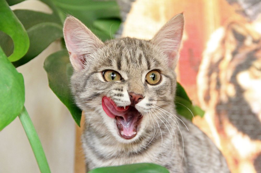 Photograph by Анастасия Северюхина