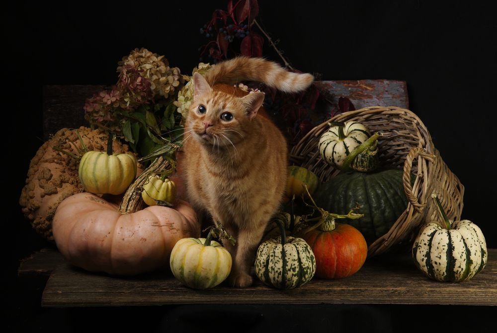 Photograph by Марина Красовская